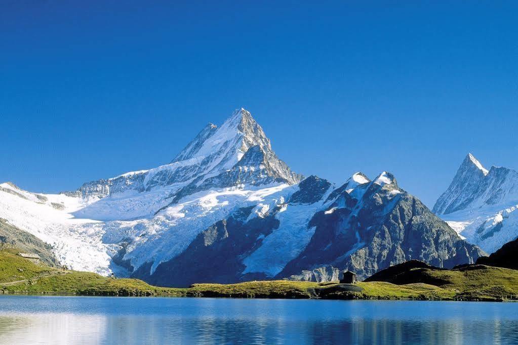 Superior Apartment 100M2 Bodmisonne - Grindelwald Exterior photo
